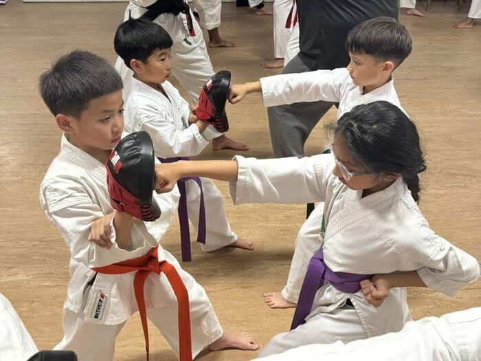 <center>Shotokan Karate Lets Young Students Discover Themselves & The World!<center>